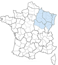 RÉGION GRAND EST