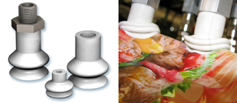 Solutions pour les IAA
