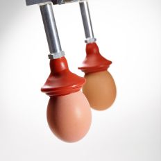 COVAL au coeur de l’industrie agroalimentaire